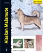Alaskan Malamute - Preview
