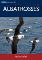 Albatrosses - Preview