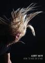 Albert Mayr How - Preview
