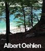 Albert Oehlen - Preview