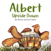 Capa do artigo Albert Upside Down