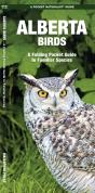 Alberta Birds - Preview