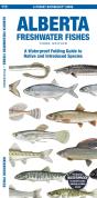 Alberta Freshwater Fishes, 3rd Ed - Preview