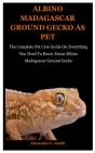 Albino Madagascar Ground Gecko As Pet - Preview