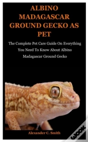 Capa do artigo Albino Madagascar Ground Gecko As Pet