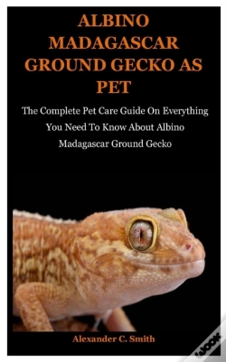 Capa do artigo Albino Madagascar Ground Gecko As Pet