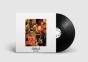 Album - Vinil - Preview