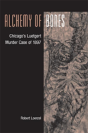 Alchemy Of Bones - Preview