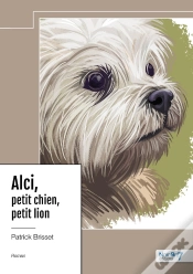 Capa do artigo Alci, Petit Chien, Petit Lion