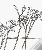 Capa do artigo Alex Katz & Robert Creeley: Edges