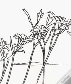 Capa do artigo Alex Katz & Robert Creeley: Edges