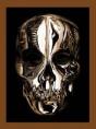 Alexander Mcqueen - Preview