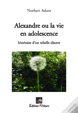 Capa do artigo Alexandre Ou La Vie En Adolescence ; Itinéraire D'Un Rebelle Discret