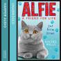 Alfie Far From Home - Preview