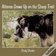 Alfonso Grows Up On The Sheep Trail