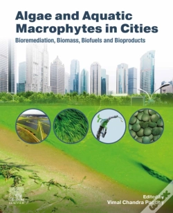 Capa do artigo Algae And Aquatic Macrophytes In Cities