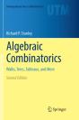 Algebraic Combinatorics - Preview