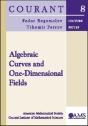 Algebraic Curves And One-Dimensional Fields - Preview