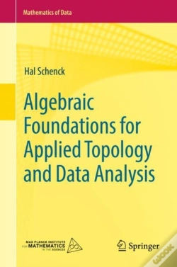 Capa do artigo Algebraic Foundations For Applied Topology And Data Analysis