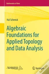 Algebraic Foundations For Applied Topology And Data Analysis