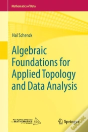 Capa do artigo Algebraic Foundations For Applied Topology And Data Analysis
