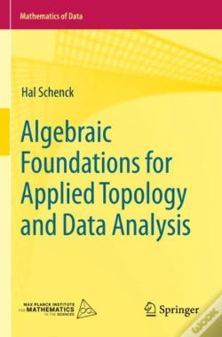 Capa do artigo Algebraic Foundations For Applied Topology And Data Analysis