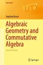 Algebraic Geometry And Commutative Algebra - Preview