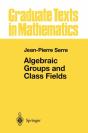 Algebraic Groups And Class Fields - Preview