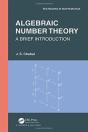 Algebraic Number Theory - Preview