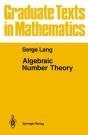Algebraic Number Theory - Preview