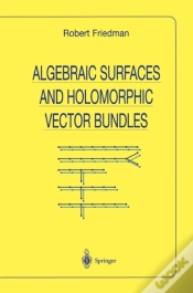 Capa do artigo Algebraic Surfaces And Holomorphic Vector Bundles