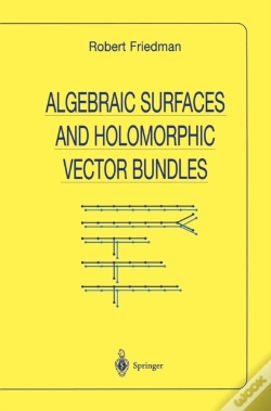 Capa do artigo Algebraic Surfaces And Holomorphic Vector Bundles
