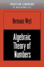 Algebraic Theory Of Numbers - Preview