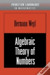Capa do artigo Algebraic Theory Of Numbers
