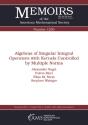 Algebras Of Singular Integral Operators With Kernels Controlled By Multiple Norms - Preview