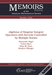 Capa do artigo Algebras Of Singular Integral Operators With Kernels Controlled By Multiple Norms