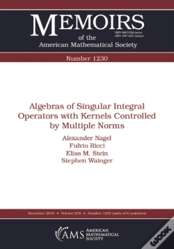 Capa do artigo Algebras Of Singular Integral Operators With Kernels Controlled By Multiple Norms
