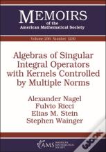 Algebras Of Singular Integral Operators With Kernels Controlled By Multiple Norms