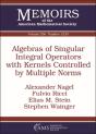Algebras Of Singular Integral Operators With Kernels Controlled By Multiple Norms - Preview