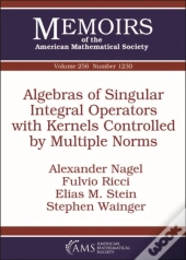 Algebras Of Singular Integral Operators With Kernels Controlled By Multiple Norms