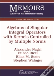 Capa do artigo Algebras Of Singular Integral Operators With Kernels Controlled By Multiple Norms