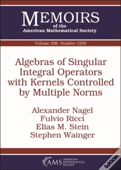 Capa do artigo Algebras Of Singular Integral Operators With Kernels Controlled By Multiple Norms