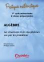 Algèbre ; Les Structures Et Les Morphismes Vus Par Les Problèmes ; 1er Cycle Universitaire Et Classes Préparatoires - Preview