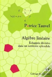 Algèbre Linéaire : Échappée Décisive Dans Un Territoire Splendide