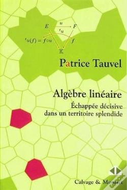 Capa do artigo Algèbre Linéaire : Échappée Décisive Dans Un Territoire Splendide