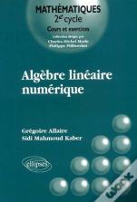 Algèbre Linéaire Numérique - Cours Et Exercices