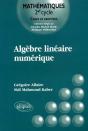 Algèbre Linéaire Numérique - Cours Et Exercices - Preview