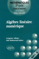 Algèbre Linéaire Numérique - Cours Et Exercices