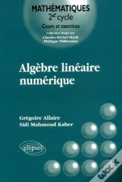 Capa do artigo Algèbre Linéaire Numérique - Cours Et Exercices