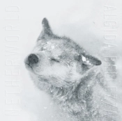 Capa do artigo Algida Bellezza - CD